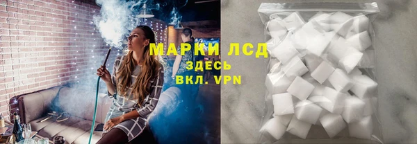 тгк Новозыбков