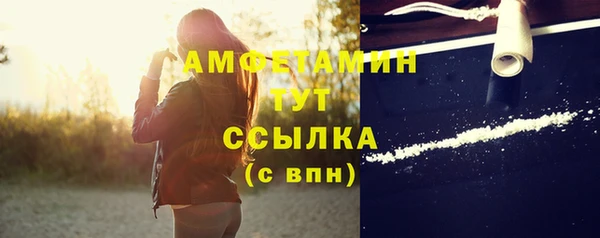 ПСИЛОЦИБИНОВЫЕ ГРИБЫ Кадников