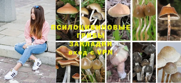 MESCALINE Новодвинск