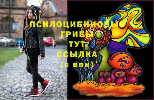 тгк Новозыбков