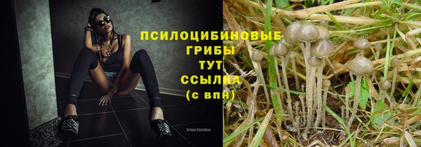 jwh Новокубанск