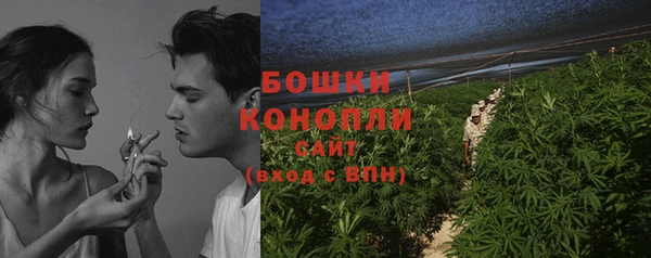 тгк Новозыбков
