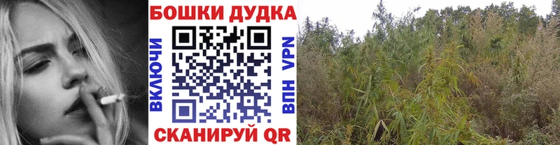 Бошки марихуана ГИДРОПОН  где купить наркотик  Стрежевой 